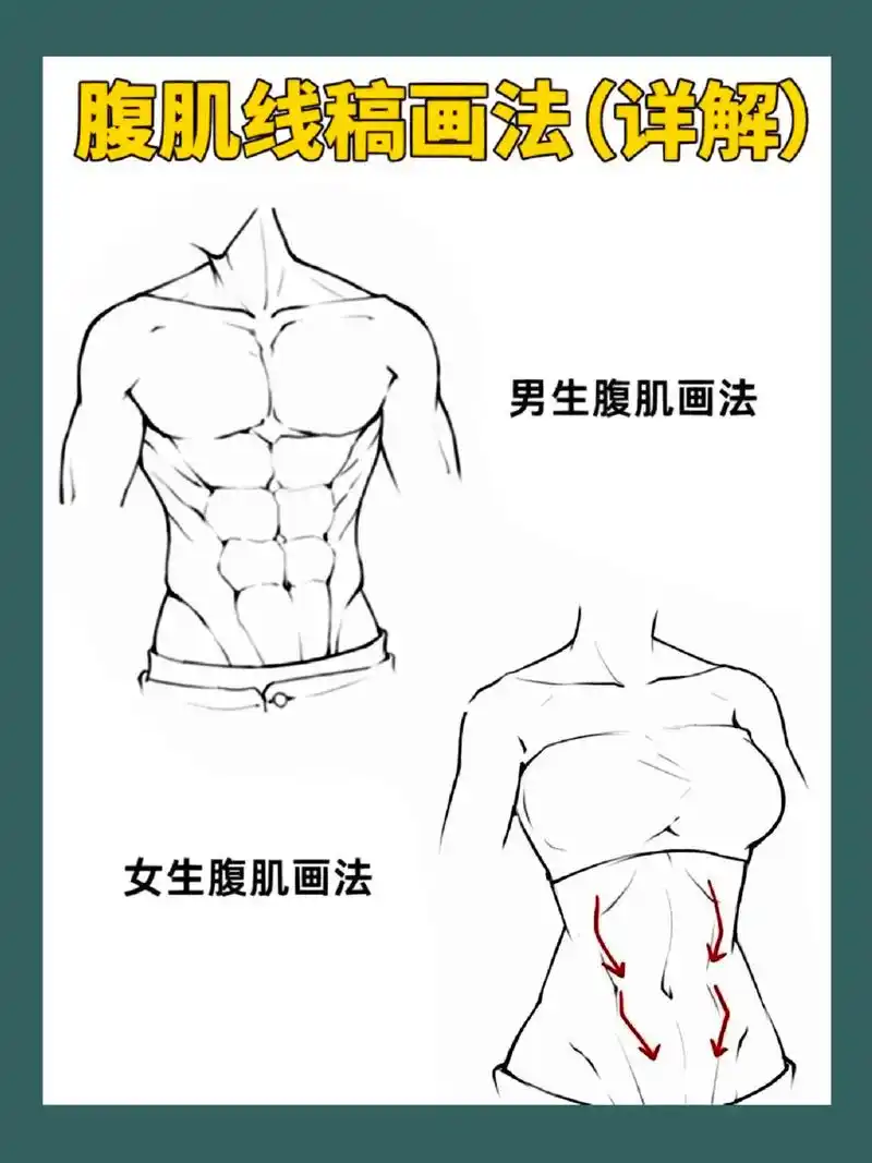 男女生腹肌画法图解!自己没腹肌?不怕,画一个!#pro - 抖音