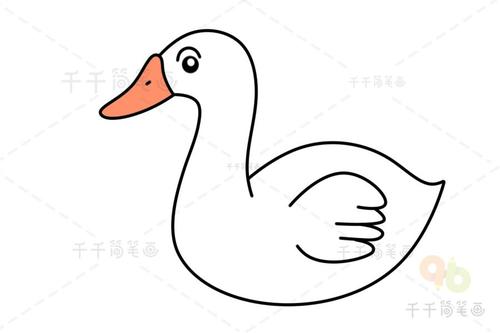 大白鹅简笔画 儿童启蒙画