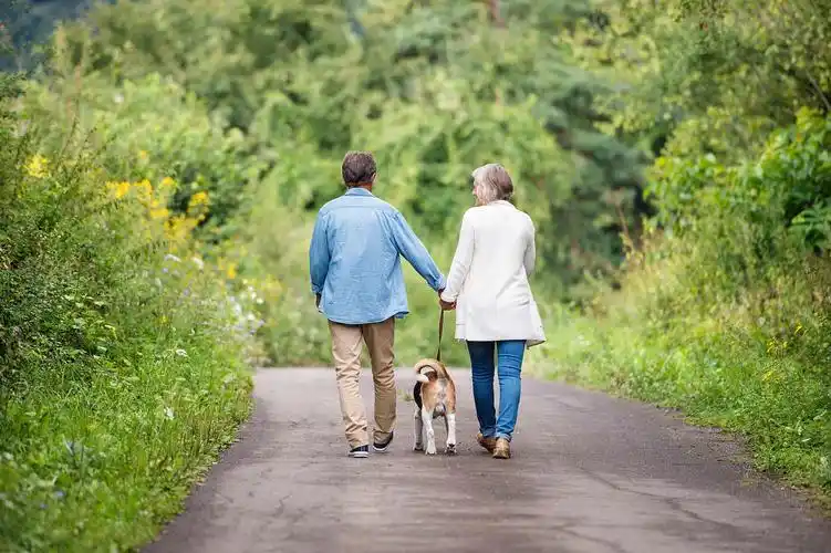 百练走为先,走,散步去_运动