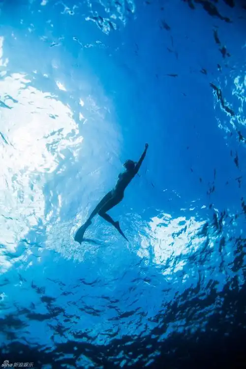 陈赫前妻穿比基尼潜水 身姿婀娜似美人鱼 (2/10)