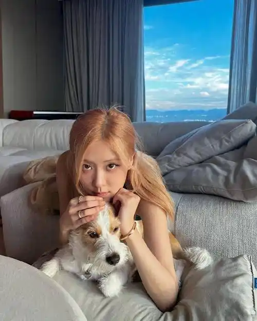 blackpink rosé与狗狗的"中秋合照",拥有修长手臂的金发美女_朴彩英