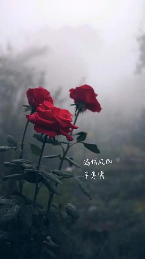 原来一个人到了最伤心最绝望的时候是不会顾及尊严这回事