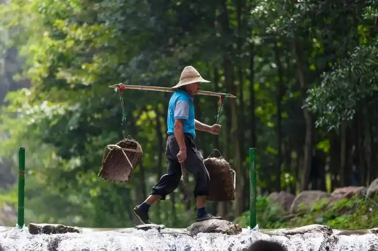 我的一条小扁担