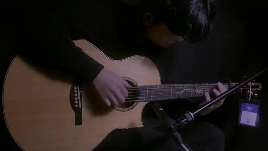 杨楚骁指弹演奏《晴天》的记忆 乌托邦吉他银杏-音乐视频-搜狐视频