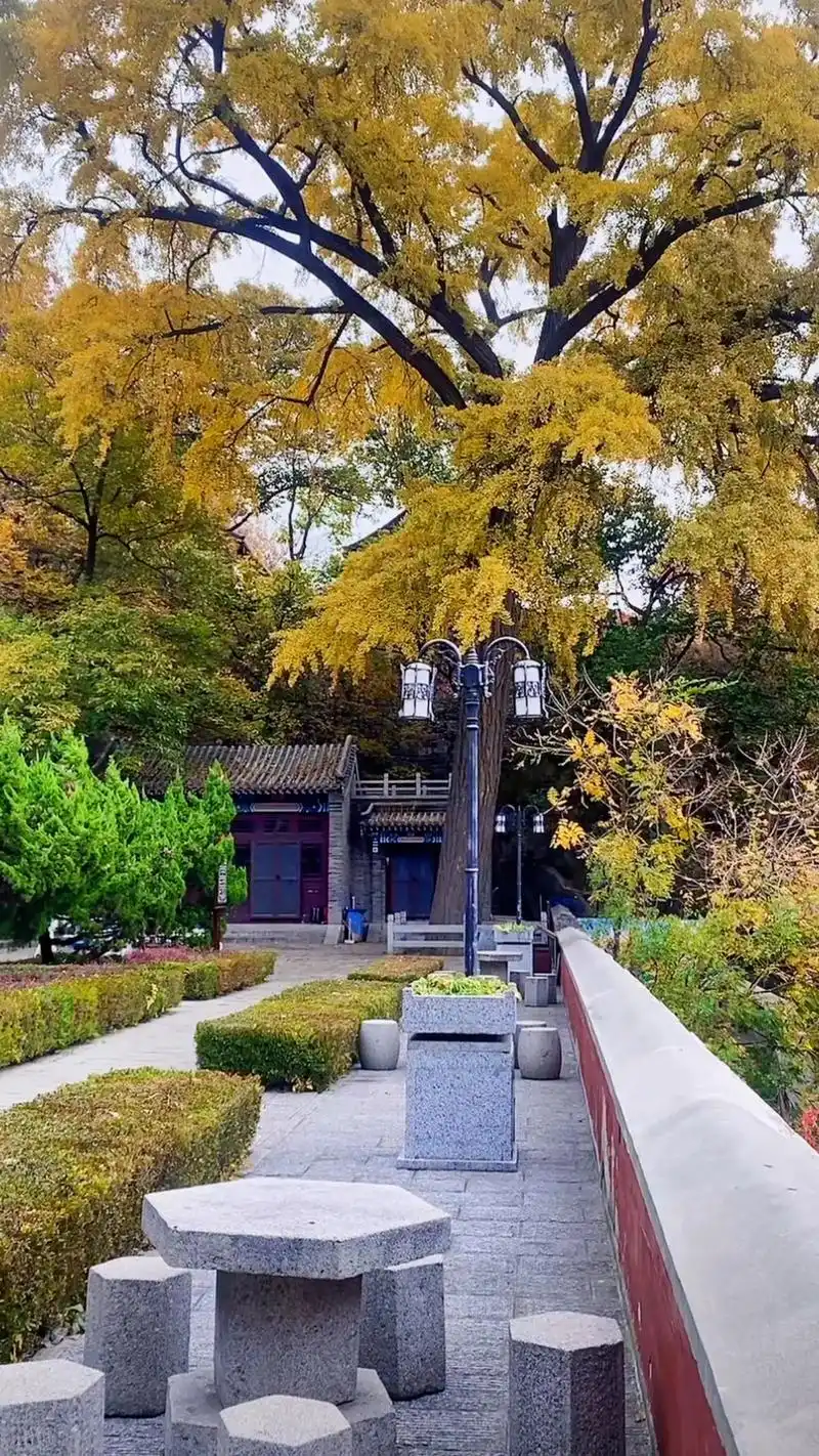中国风景名胜-盘山.盘山位于天津市蓟州区西北,为国家5a级景 - 抖音