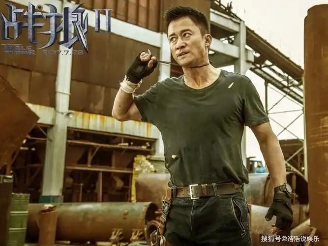 一部《战狼ii》,大收56亿人民币,为吴京奠下一哥地位.