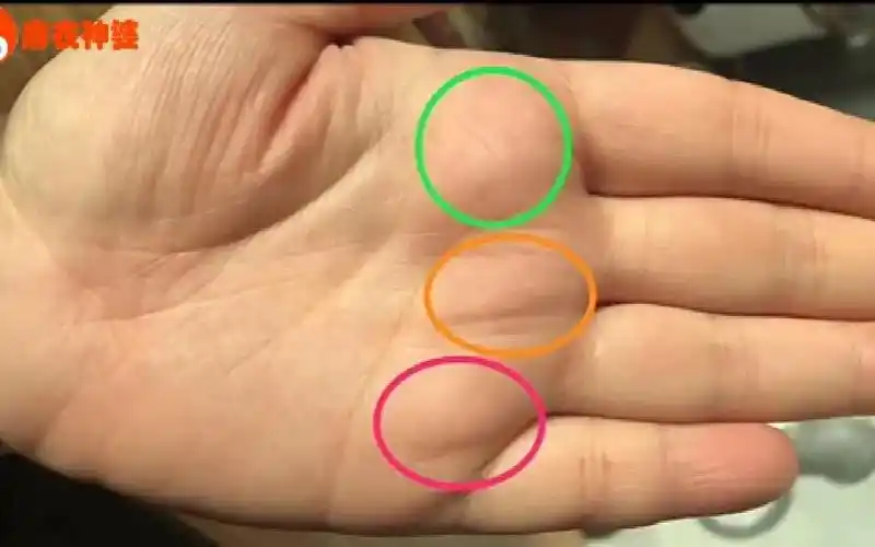 手相中福禄寿三丘饱满的人有困难的时候身边的朋友都会及时援助一生不