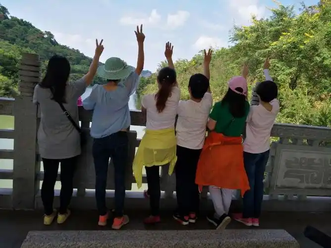 来张背影大合照