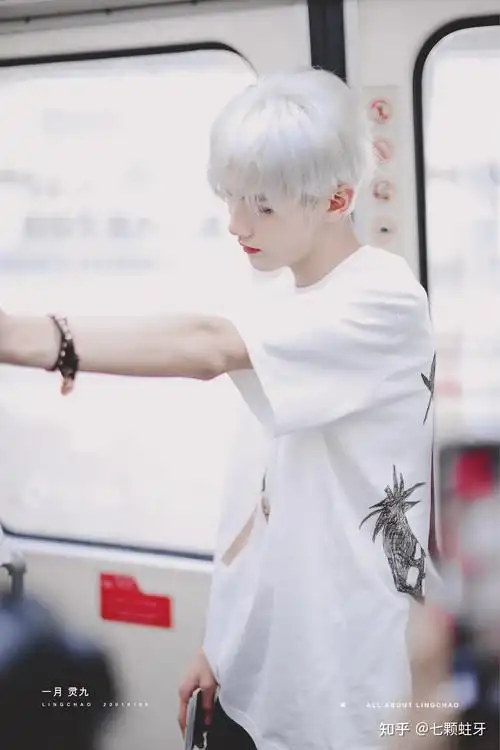 内娱有白毛帅哥吗?