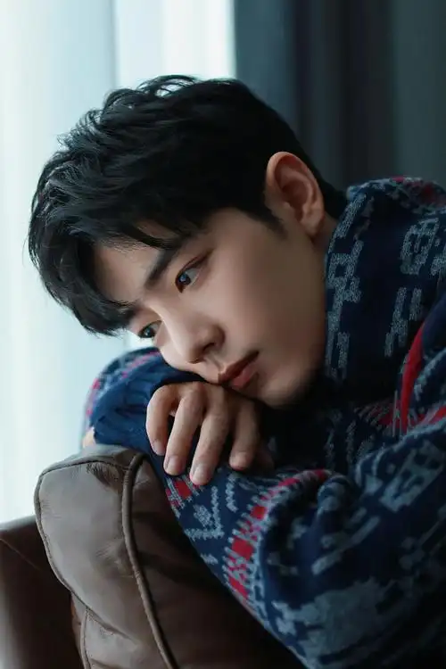 肖战圣诞氛围大片