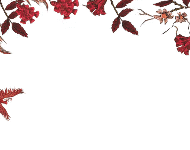 638_502gif 动态图 动图