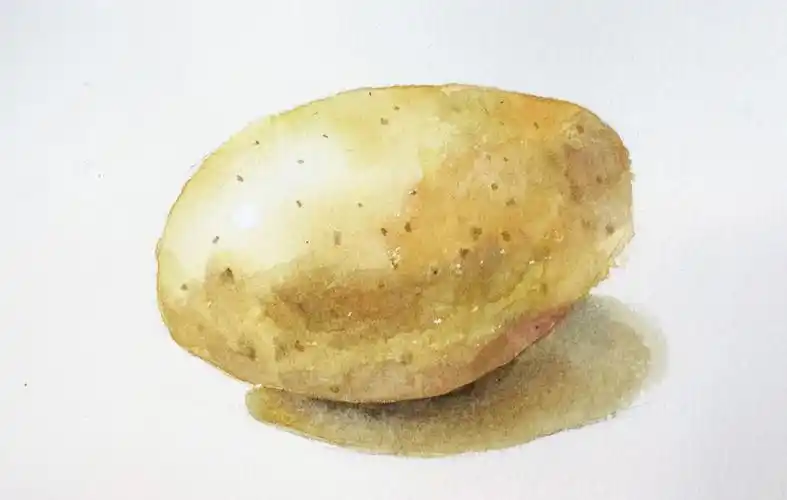水彩小土豆