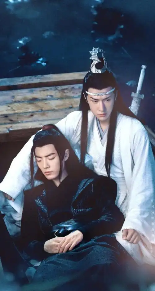 陈情令:肖战王一博唯美古风图集