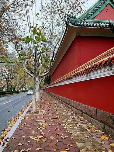 疫散花开我在青岛大学路等你