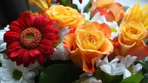 高清晰花朵壁纸 #7 - 1920x1080