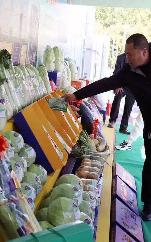 玉田供京蔬菜:品牌引领产业发展的典范_玉田县_农业_河北