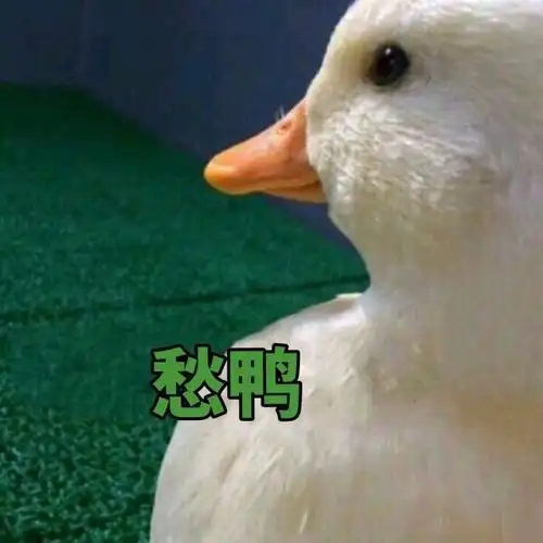 萌宠gif小鸭子gif愁呀gif难受gif搞怪gif逗gif