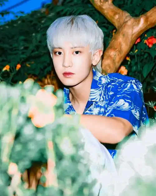 有没有关于朴灿烈的神图? - 知乎