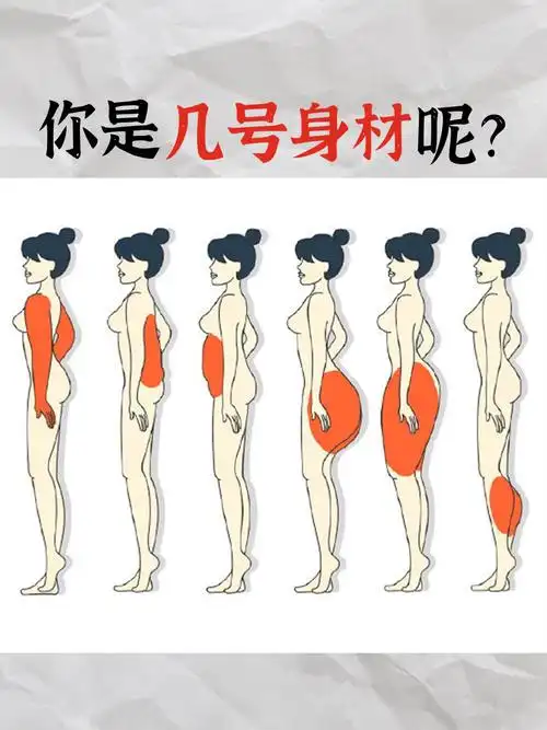 以上6种身材0269看看你是几号呢60