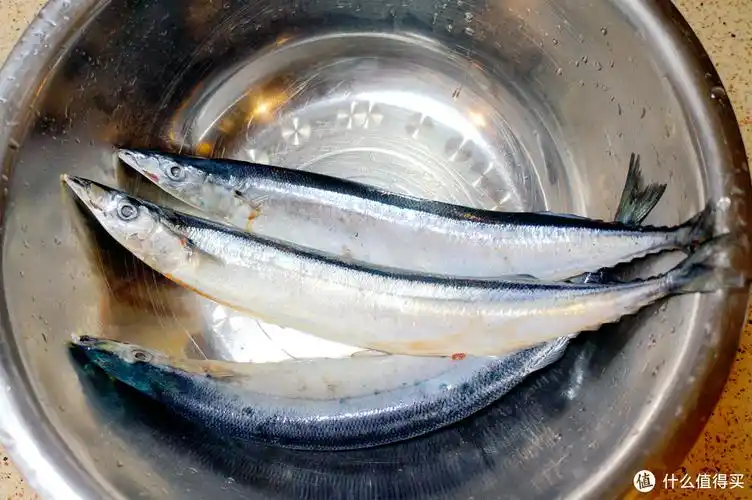 正是秋鱼肥美时:秋刀鱼的三种简单吃法&非常正点的照烧酱汁