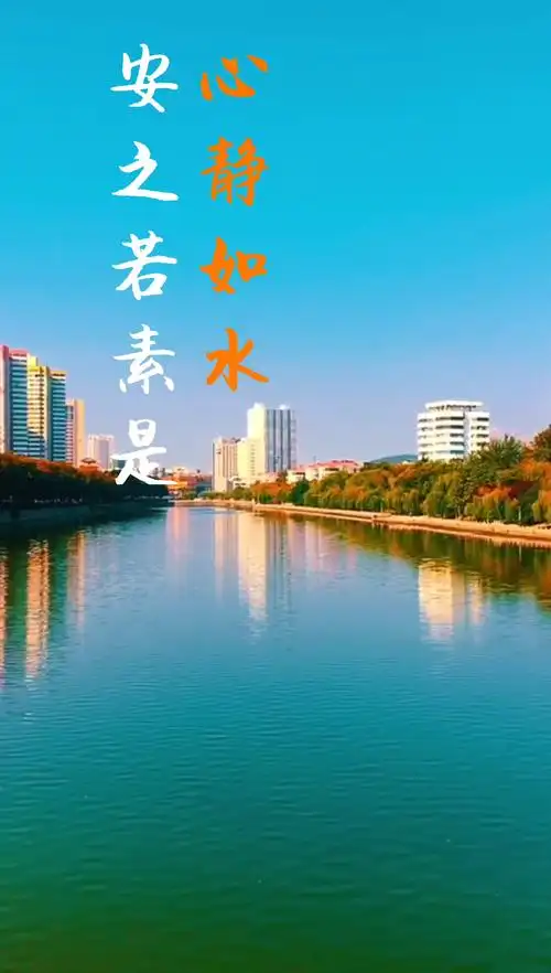 心静如水,安之若素是什么意思?