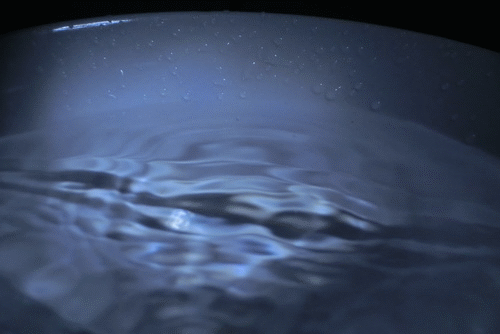 500_334gif 动态图 动图