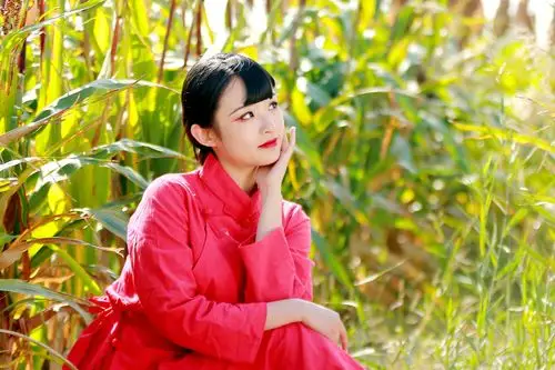 九儿我送你去远方