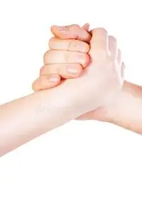 一对夫妇的双手照片