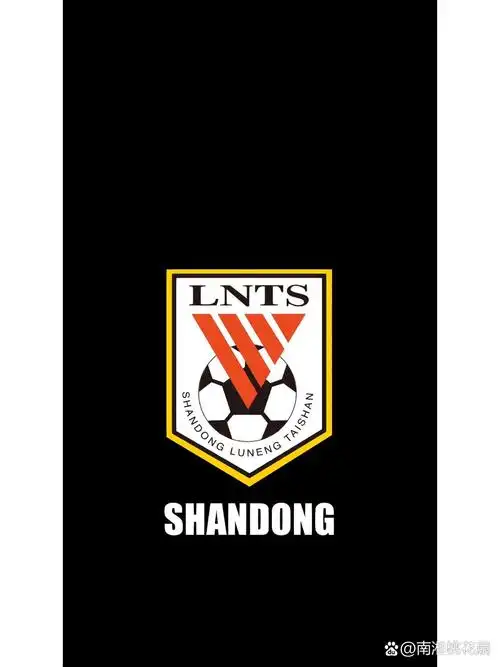 一组山东鲁能队壁纸送上 鲁能队徽简约款壁纸一套