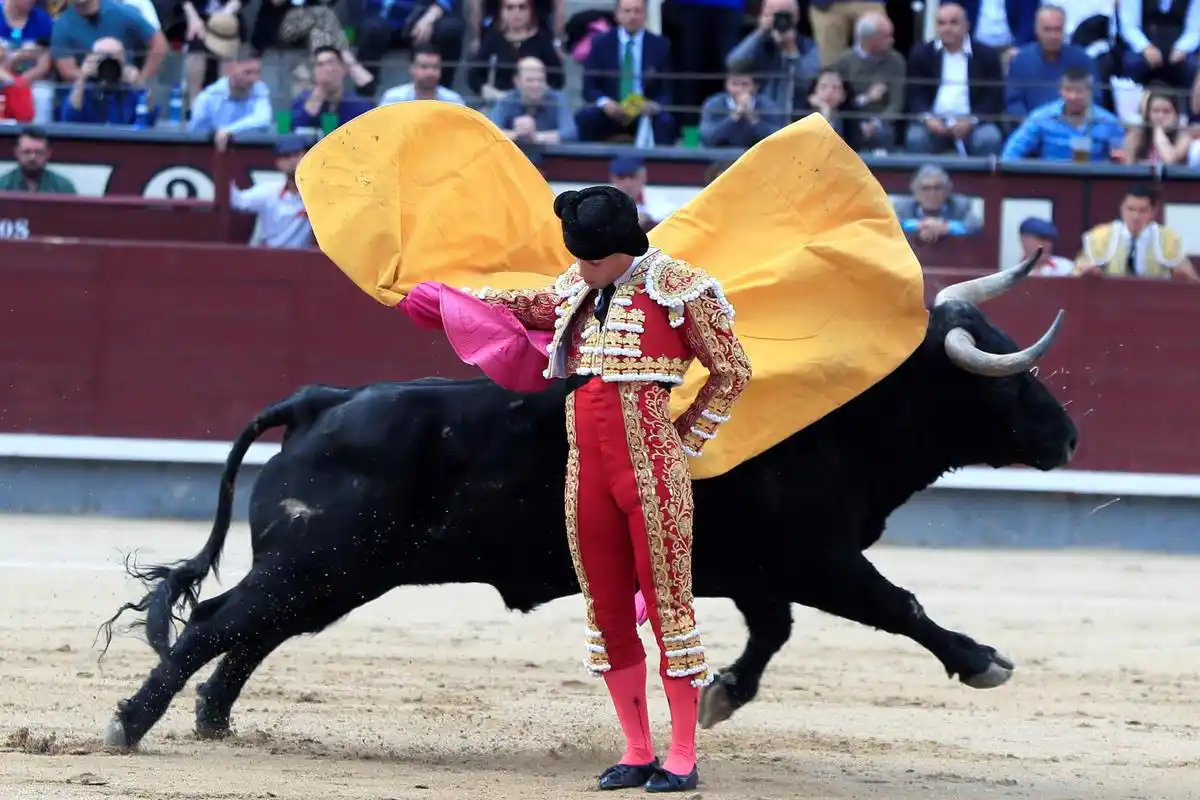 5月21日,在西班牙马德里举行的圣伊西德罗节上,一名斗牛士参加斗牛.