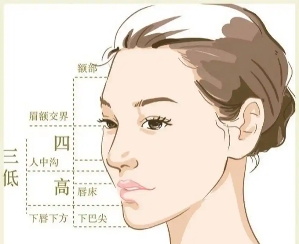 什么是"三庭五眼","四高三低"71 02为什么有的人五官,脸型明明都