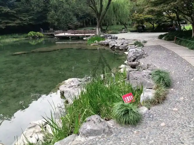 植物与景石结合驳岸,野趣盎然.