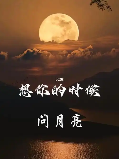 想你的时候问月亮