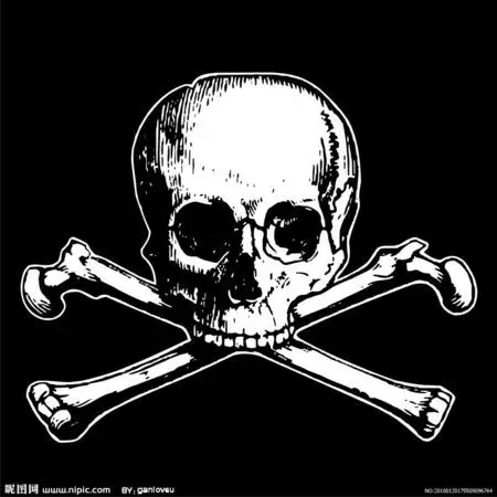 求最帅的骷髅头像.