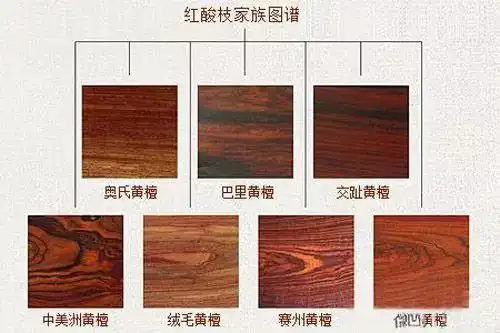 红酸枝木材种类延伸图