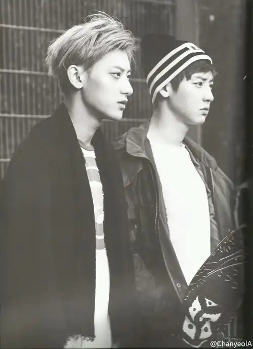 exo 黄子韬 tao 朴灿烈 明星 美男