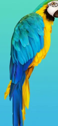 1080_2340竖版 竖屏