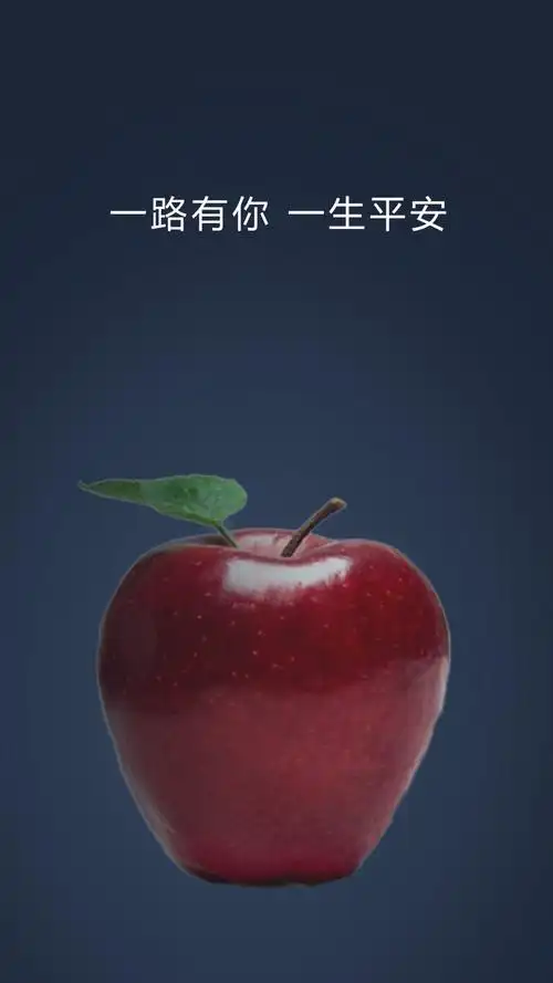一路有你 一生平安