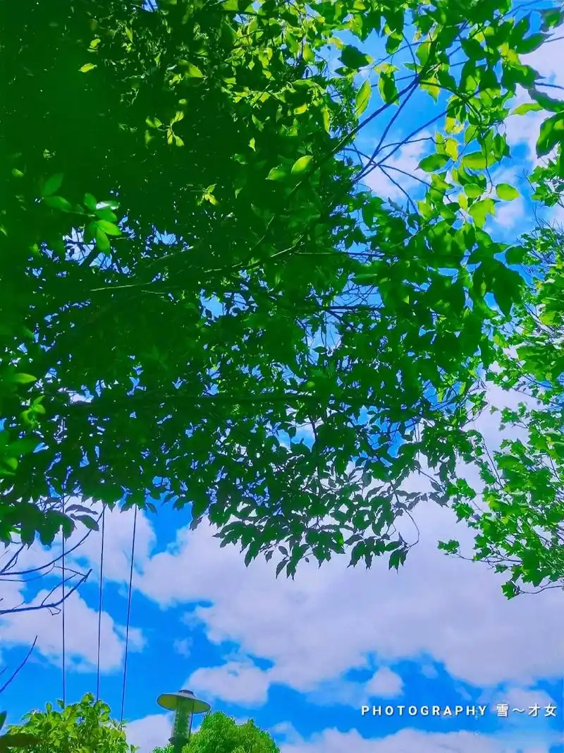 惬意时光美好风景