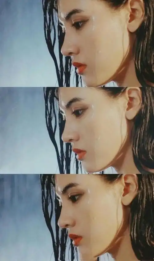 李嘉欣是真女神脸型,眼睛,嘴巴,头发无一不美,特别是鼻子鼻梁高,鼻尖