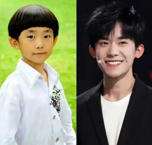 如今追如狗",这些明星完美诠释,娱圈是把整容刀_秦海璐_王俊凯_陈小