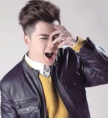 男明星发型图潮流帅气男士飞机头发型