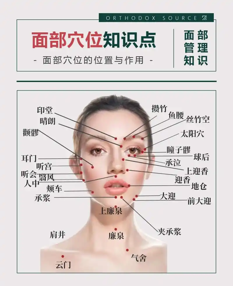正本承源# 皮肤管理师一定要熟悉面部穴位,只有完全掌握穴位的位置与