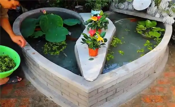 手艺人用砖头砌鱼池破旧老院儿养锦鲤别有一番韵味