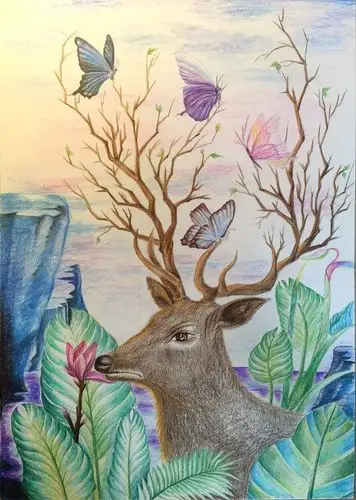 创意原创彩铅插画登录 / 注册