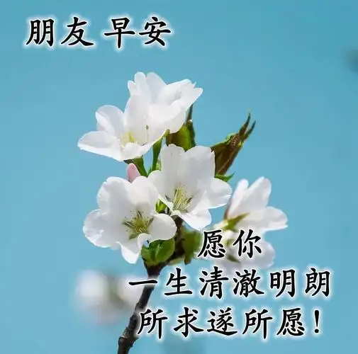早上好祝福语大全大家早安表情早安语录早上好祝福语