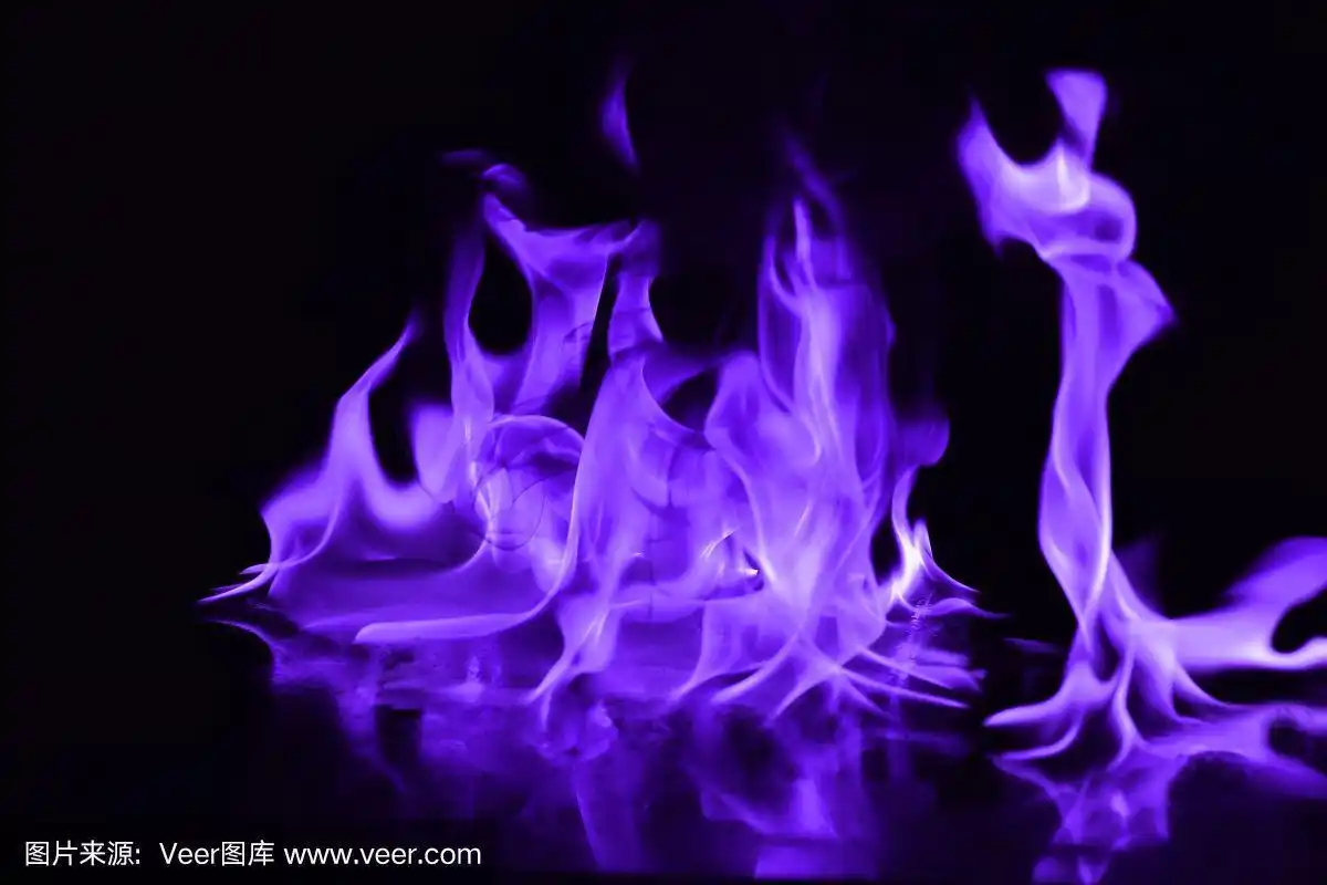 美丽的火焰紫色的火焰在黑色的背景上.