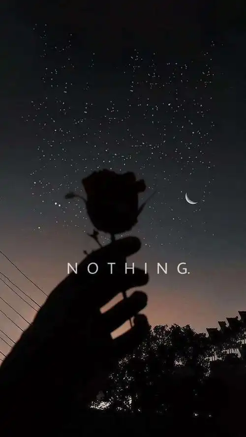 孤独造就了黑色玫瑰