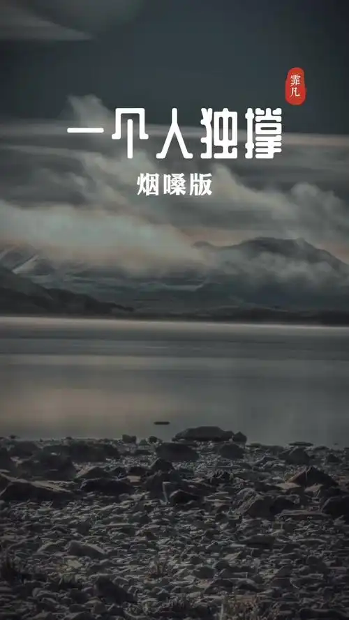 哪有什么避风港心情不好的夜晚都是自己一个人在硬撑烟嗓音乐伤感