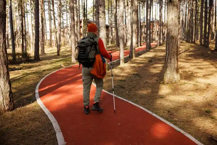 【每天坚持散步,你会收获以下这些好处】 心血管健康 经常的散步可以